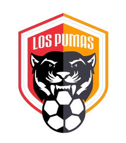 Escudo de pumas santa maria