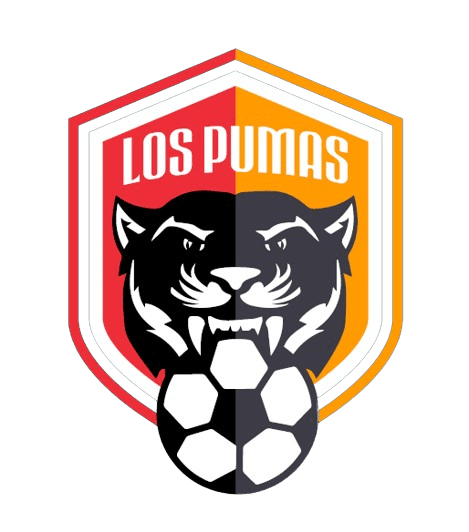 Escudo de pumas santa maria