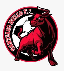 Escudo de santiago bull