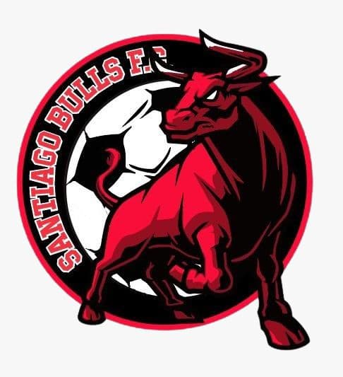 Escudo de santiago bull