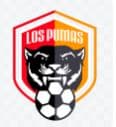 Escudo de pumas historicos